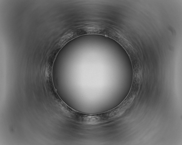 X0000112370277200908271325