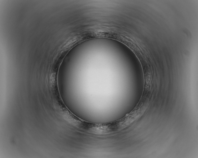 X0000112370278200908271325