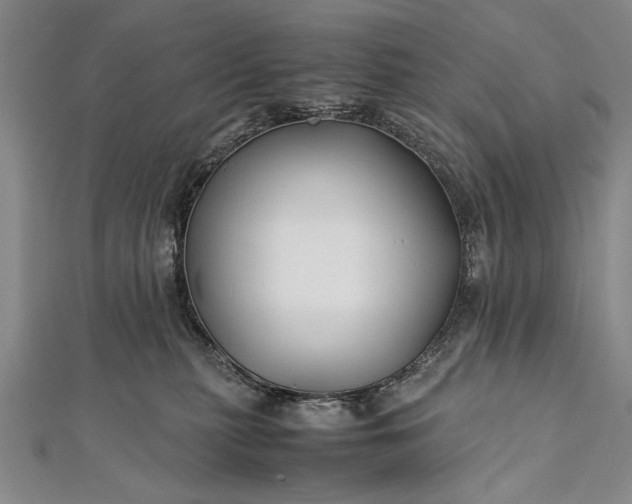 X0000112370279200908271325