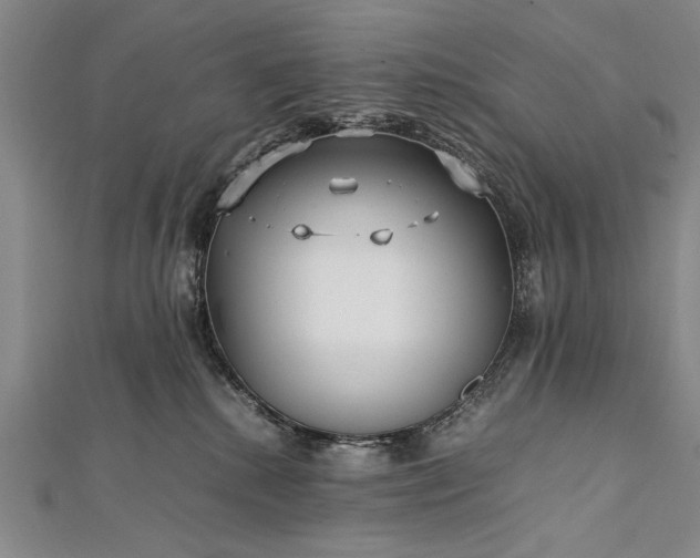 X0000112370280200908271325