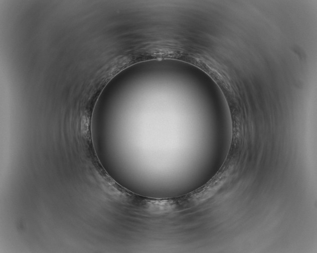 X0000112370281200908271325