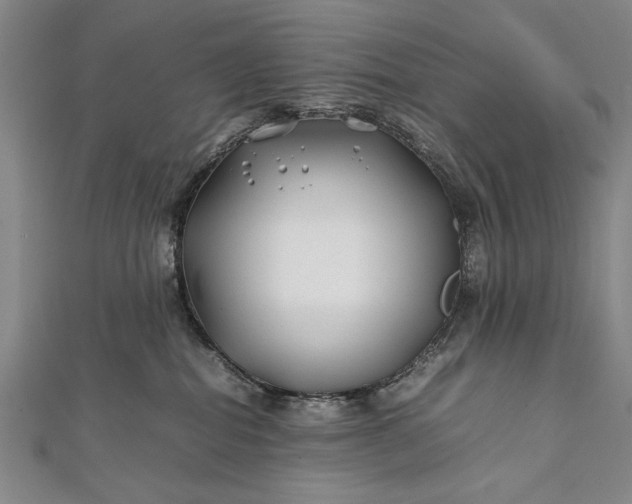 X0000112370282200908271325