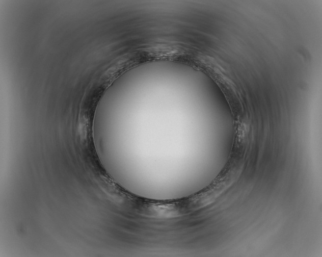 X0000112370283200908271325