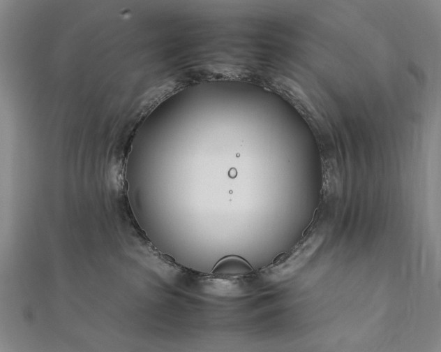 X0000112370285200908271325