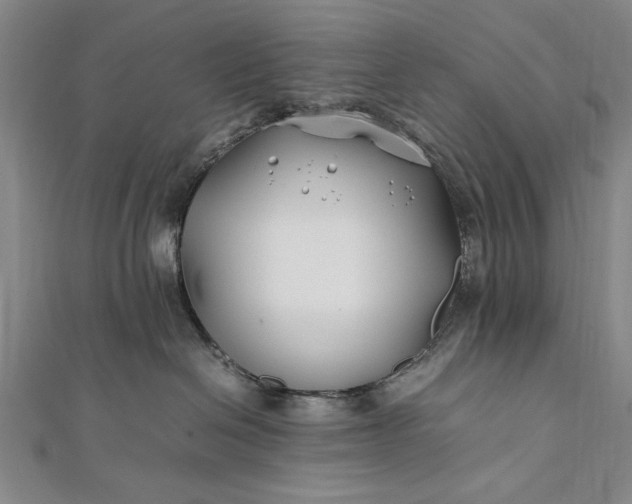 X0000112370286200908271325