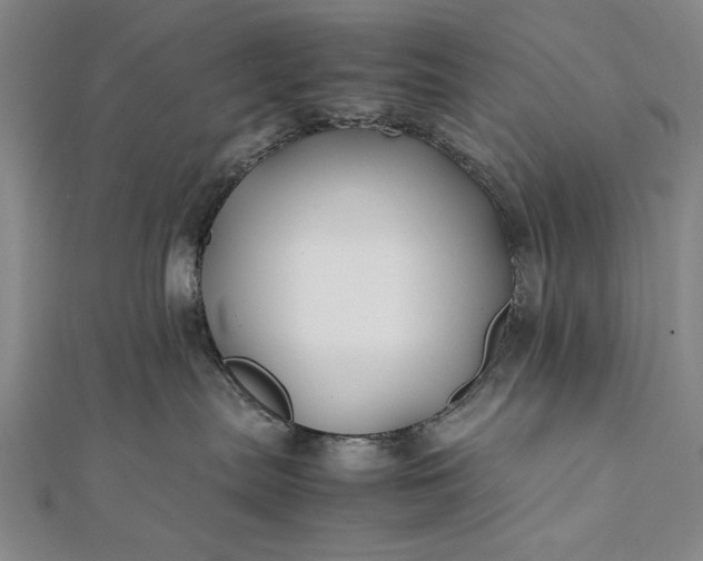 X0000112370287200908271325