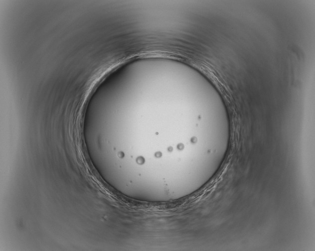 X0000112370289200908271324