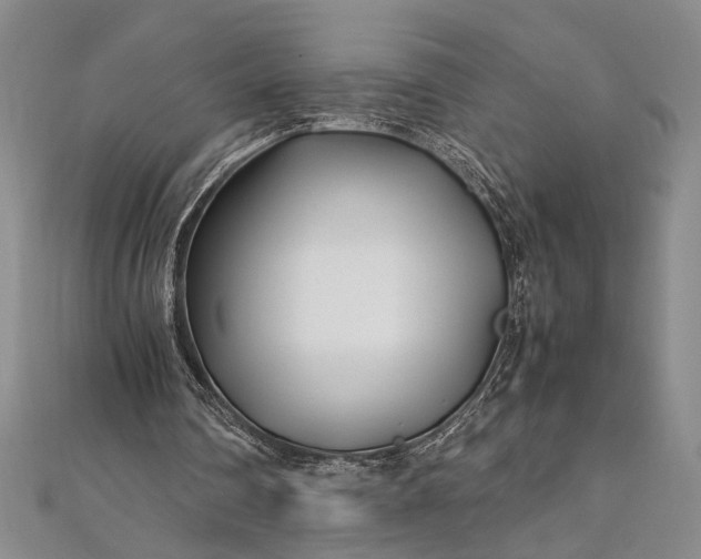 X0000112370290200908271324