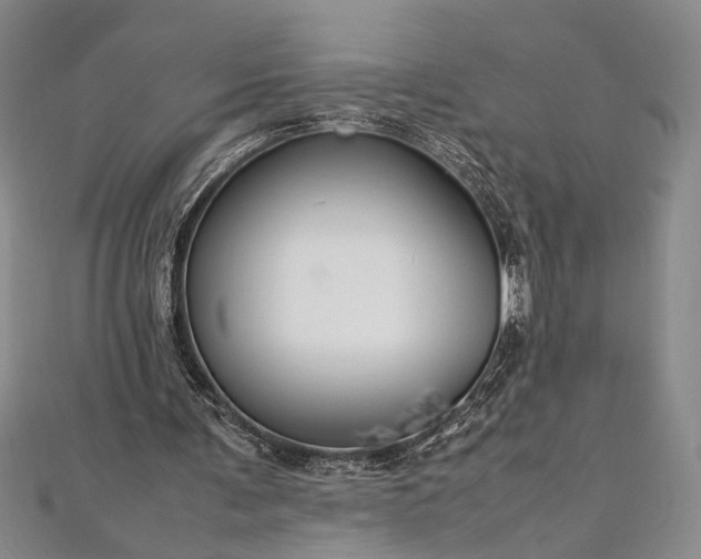 X0000112370291200908271324