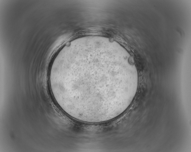 X0000112370293200908271324