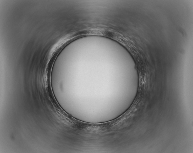 X0000112370294200908271324