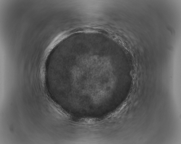 X0000112370295200908271324