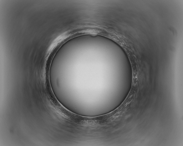 X0000112370296200908271324