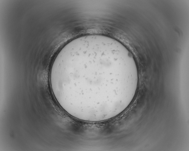 X0000112370297200908271324