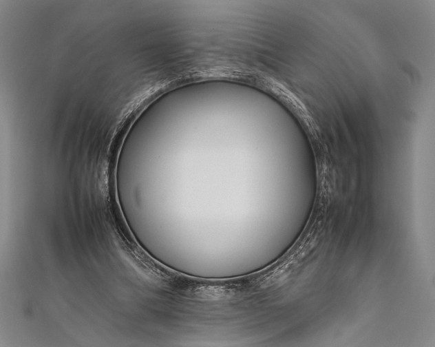 X0000112370298200908271324