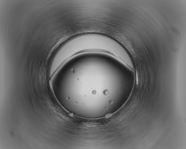 X0000112370300200908271324