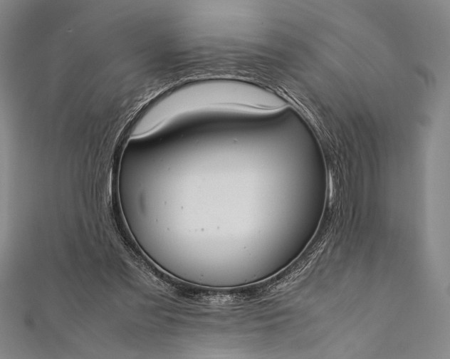 X0000112370301200908271324