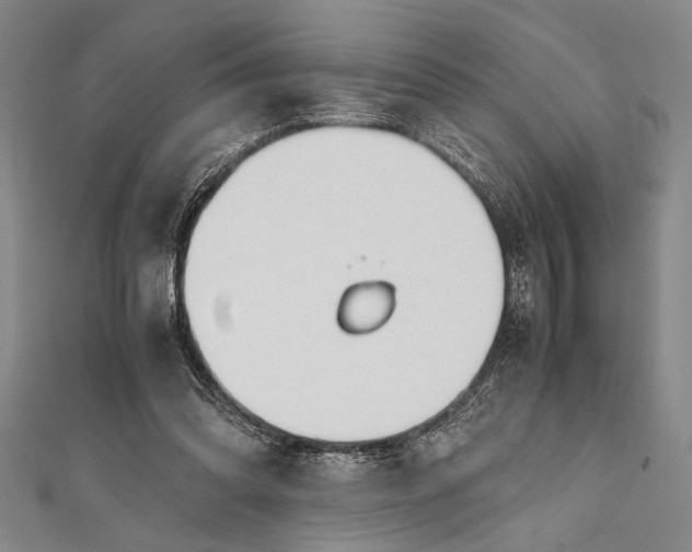 X0000112370302200908271324