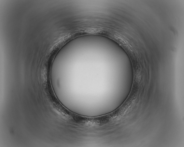 X0000112370303200908271324