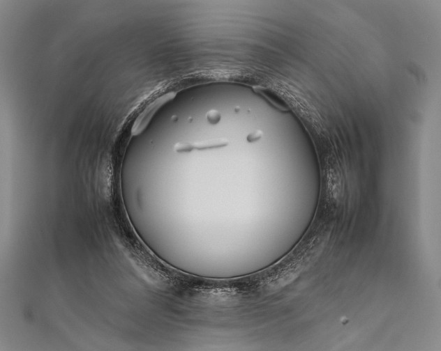 X0000112370304200908271324