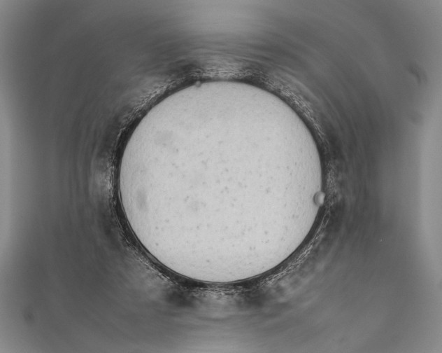 X0000112370305200908271324