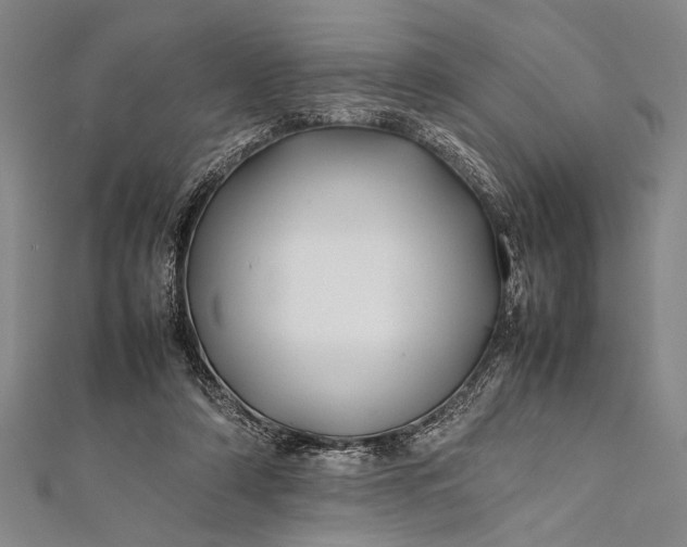 X0000112370306200908271324