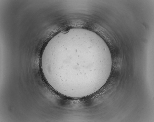 X0000112370309200908271324