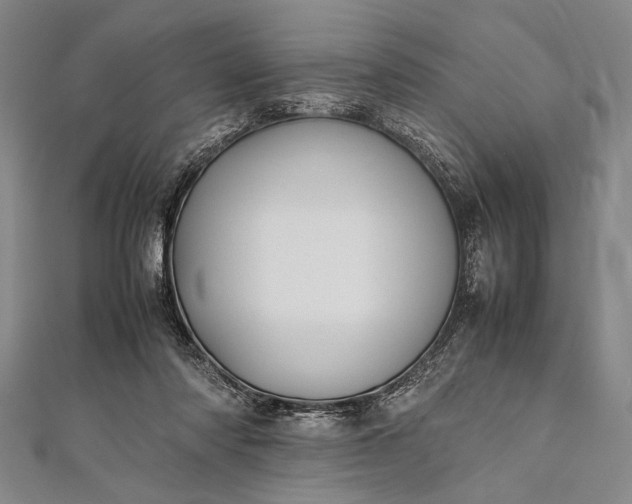 X0000112370310200908271324