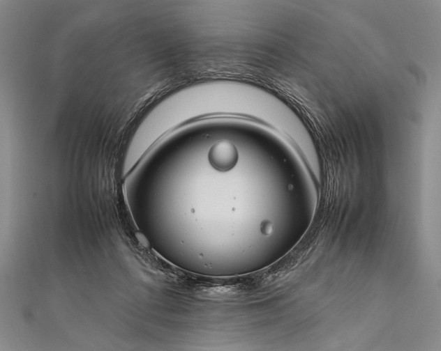 X0000112370312200908271324