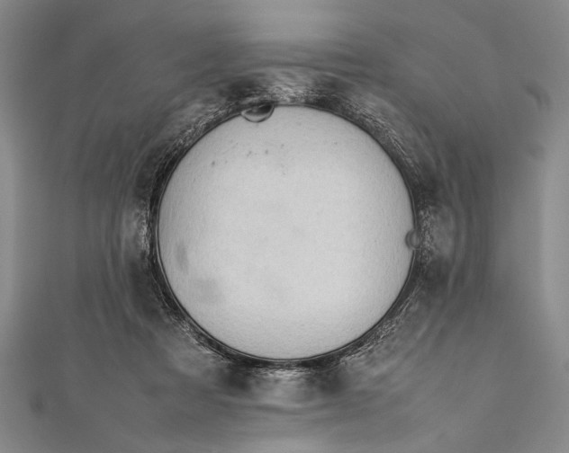 X0000112370313200908271324