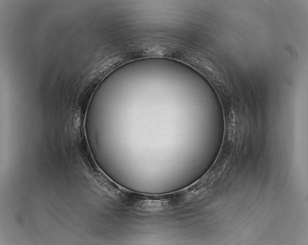 X0000112370314200908271324