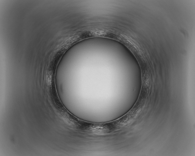 X0000112370315200908271324