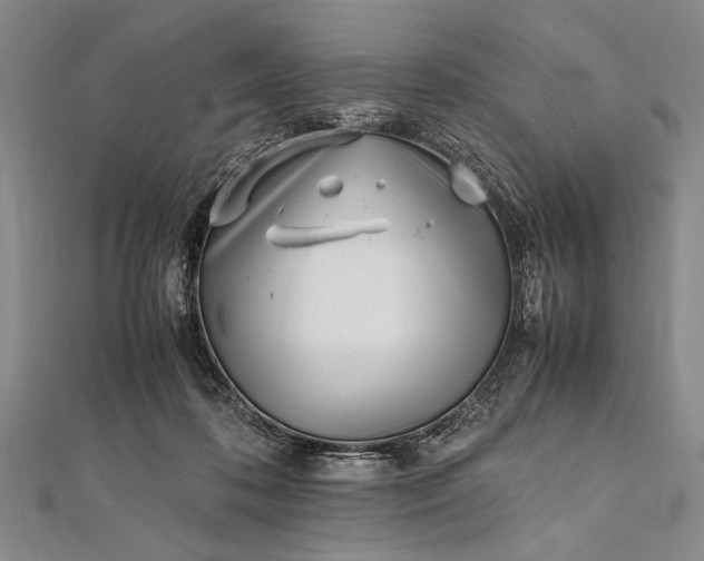 X0000112370316200908271324