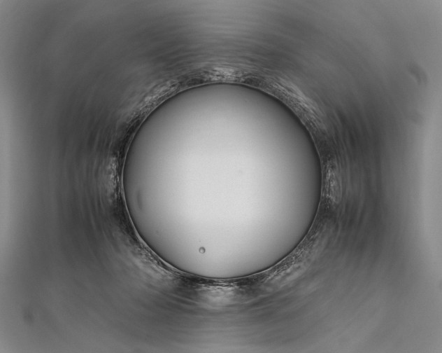 X0000112370318200908271324