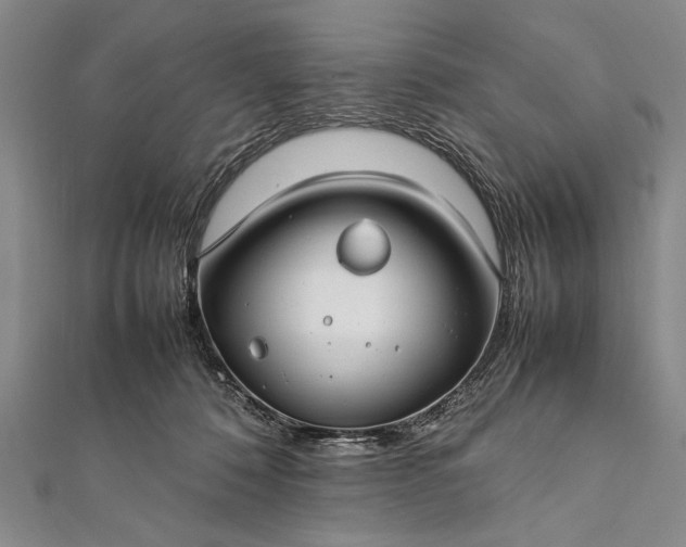 X0000112370320200908271324