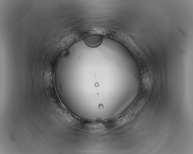 X0000112370322200908271324