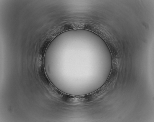 X0000112370323200908271324