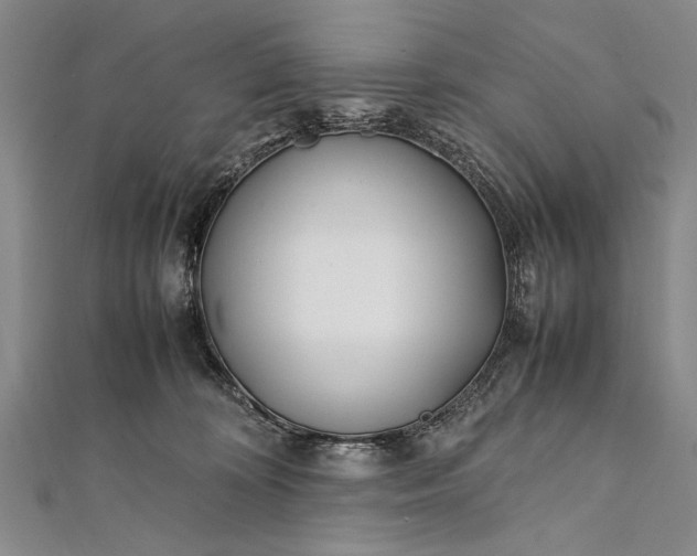 X0000112370324200908271324