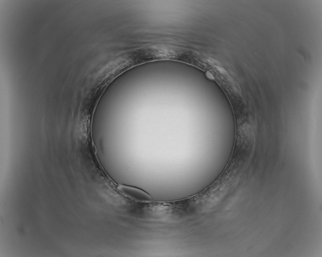 X0000112370325200908271324