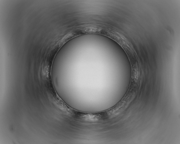 X0000112370326200908271324