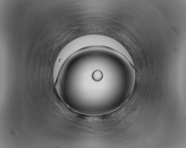 X0000112370327200908271324