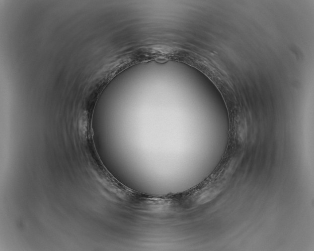 X0000112370328200908271324