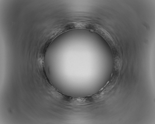 X0000112370329200908271324