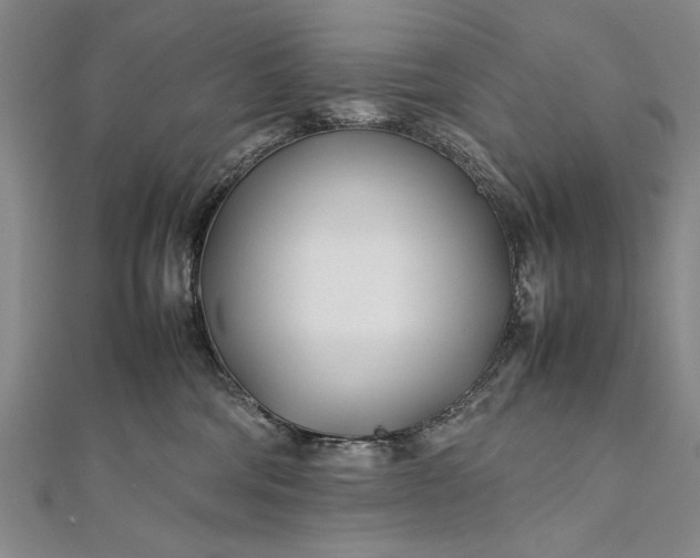 X0000112370330200908271324