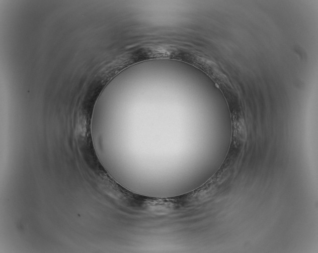 X0000112370331200908271324