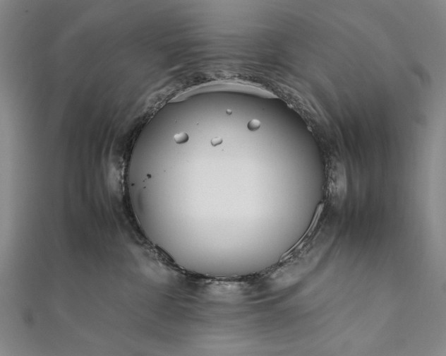 X0000112370332200908271324