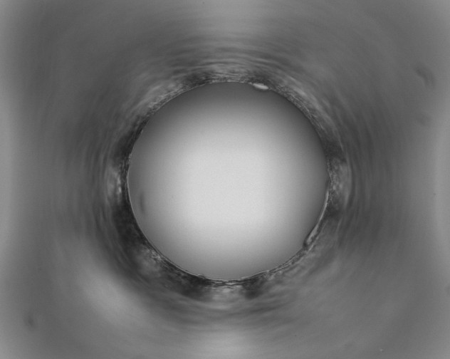 X0000112370333200908271324