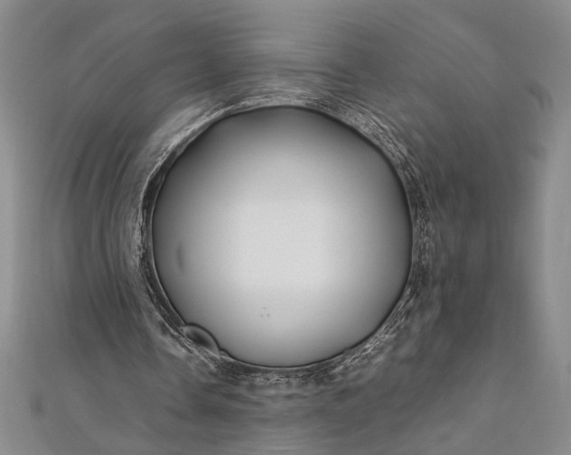 X0000112370338200908271323