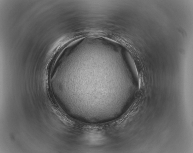 X0000112370339200908271323