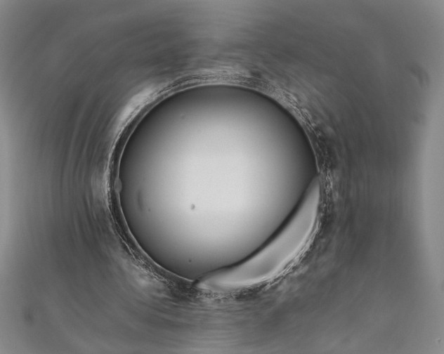 X0000112370340200908271323